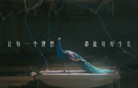 终于有品牌，敢拍这样的三八节广告了