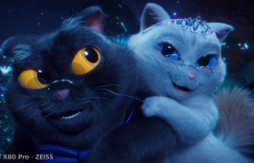 vivo这支“猫片”，让我嗑起了喵星人的爱情