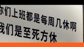 打工人文案上新，句句扎心！