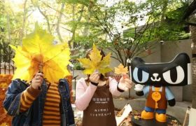刚开一家咖啡馆，天猫成了瑞幸头号敌人？