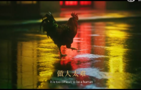 王小卤搭配王家卫？ 一只鸡和港风完美融合