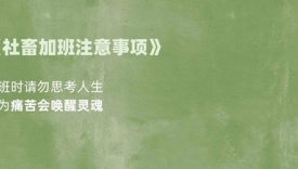 27首小诗，专治emo和焦虑