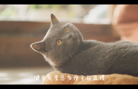 小度：冬日宅在家健身