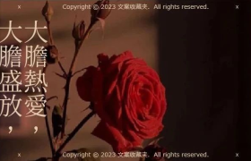 像花儿一样的女神节文案，开满了喜爱