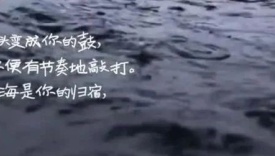 谷雨，4段特别的文案