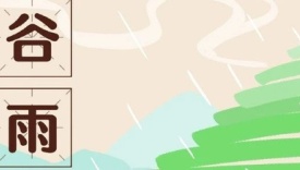 今年谷雨海报文案，很清爽