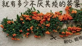 中年爱情的文案，很上头！