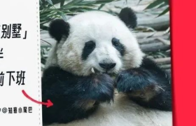 小红书的旅行攻略文案，太会了！