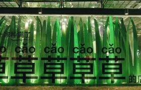 谁懂啊，天猫的种草营销，是真的在种草