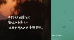 《种地吧·少年篇》，文案太牛了！