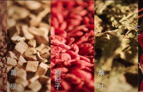 草本植物藏着“大智慧”，真相越扒越有趣