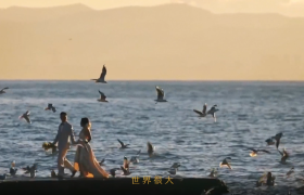 凭借一支纪录片，小度再次刷爆全网
