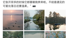 李现文案是网易云热评上热搜，我的第一反应是精妙的广告。。