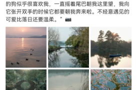 李现文案是网易云热评上热搜，我的第一反应是精妙的广告。。
