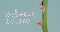 混果汁妇女节，给女性寄了6封情书