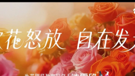 当「爆剧制造机」遇上达霏欣，优酷生花剧场520玩出“欣”“花”样