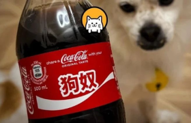 可口可乐“狗奴”瓶，骂得太脏了！