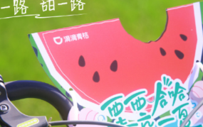 滴滴青桔在夏季邀请你「瓜分清凉」