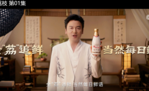 从"IP联姻"到"价值共振"：众品牌的荔枝启示录