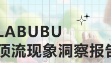 LABUBU顶流现象洞察报告
