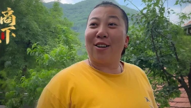 东北雨姐要回来了，网友集体炸锅