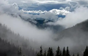 韵达财报：低价抢市场，老二不好当