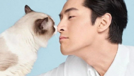胡歌变猫，喵不可言！