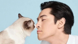 胡歌变猫、蒙牛再推“高考押题奶”、奈雪の茶推牵手杯