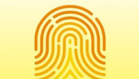 智联&容嬷嬷“手撕”老板、黄河出新logo……