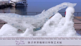 快手世界地球日环保艺术展：鲸鱼冰雕融化后竟露出海洋垃圾