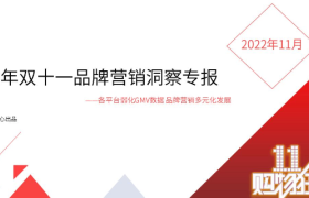 2022年双十一品牌营销洞察专报
