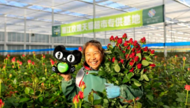 鲜花电商的春天来了吗？