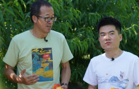 大主播与MCN互噬，已成为直播带货的根本矛盾