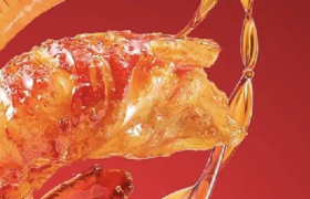 00后捧红“人类猫条”，半年爆卖14亿，成“高铁零食之王”