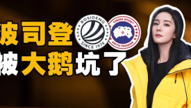 波司登被大鹅坑了