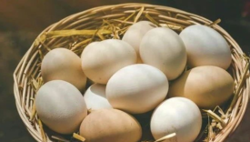 一年卖出18亿的鸡蛋，黄天鹅凭什么？