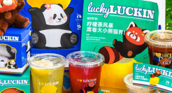 瑞幸×成都文旅，巴适的板柠檬茶！